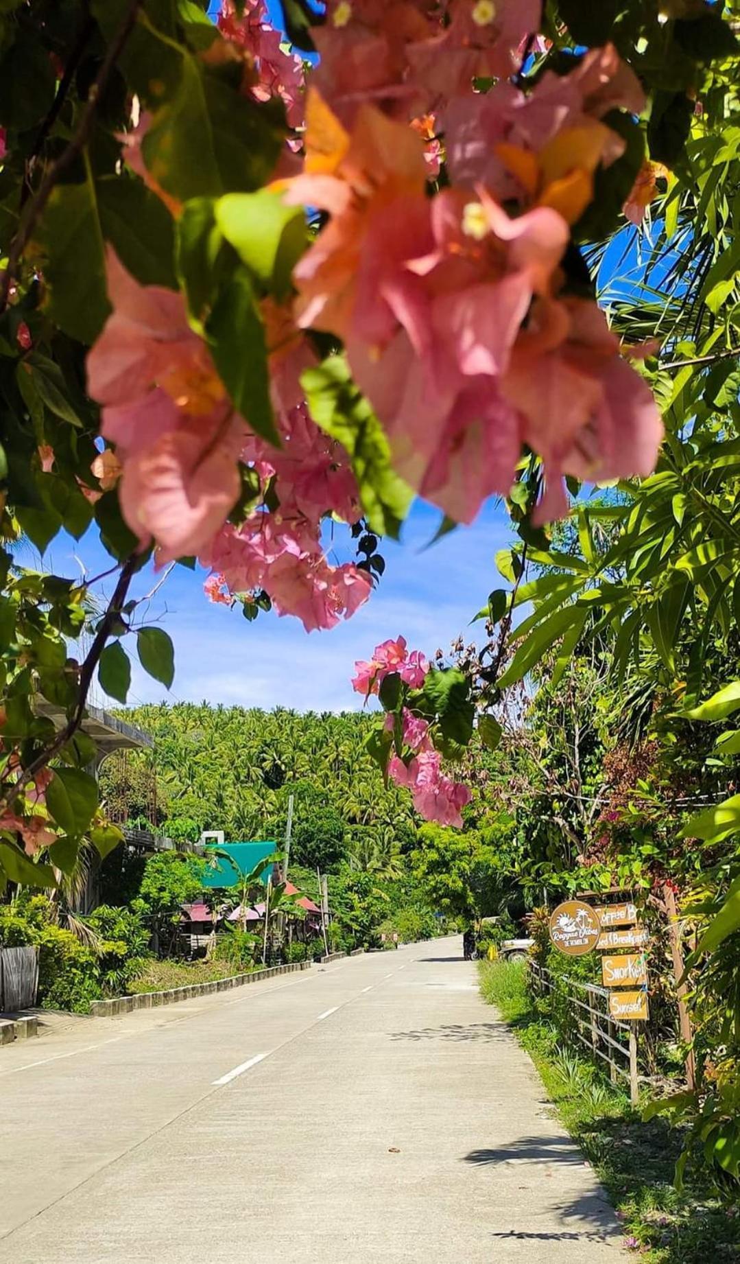 Homestay Reggae Vibes De Romblon
